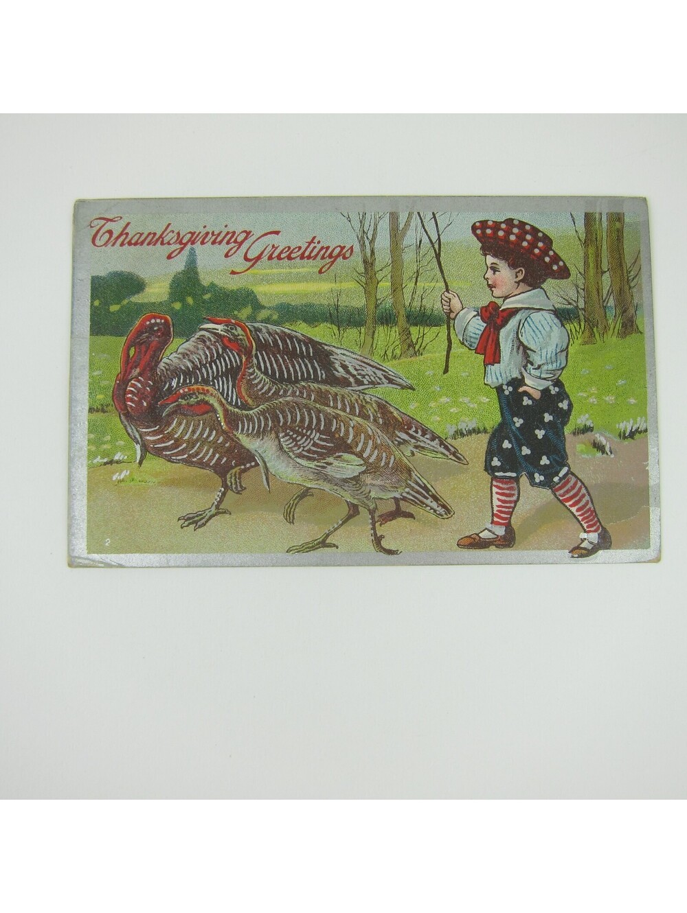 Thanksgiving Postcard Wild Turkeys Boy Sailor Suit Embossed Antique 1909